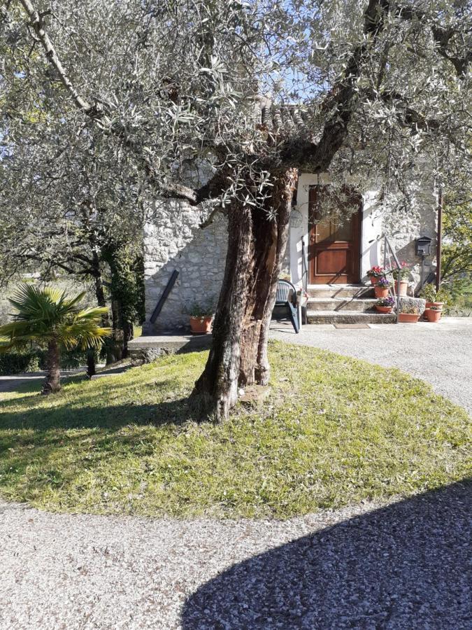 La Casetta Di Vacone Dış mekan fotoğraf