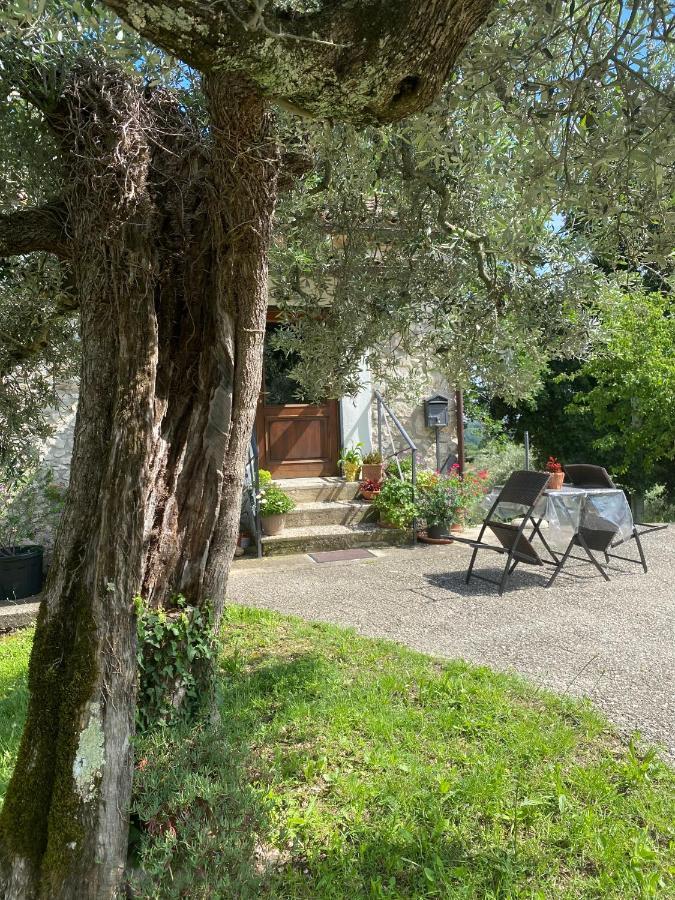 La Casetta Di Vacone Dış mekan fotoğraf